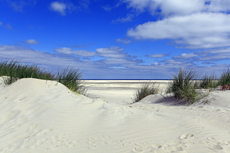 Borkum: Der Nordstrand: Dünenimpressionen.