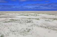 Borkum: Das Ostland: idyllische Strandabschnitte fernab von Borkums buntem Strandleben.