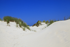 Borkum: Das Ostland: idyllische Strandabschnitte fernab von Borkums buntem Strandleben.