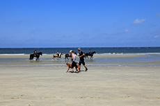 Borkum: Das Ostland: idyllische Strandabschnitte fernab von Borkums buntem Strandleben.