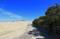 Borkum: Der Giloweg in Richtung Oststrand endet am Strandcafé Seeblick.