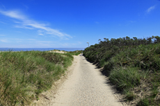 Borkum: Auf dem abwechslungsreichen Giloweg in Richtung Ostland.