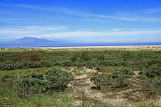 Borkum: Die vielfältige Dünenlandschaft am Nordstrand.