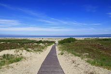 Borkum: Die vielfältige Dünenlandschaft am Nordstrand.