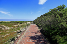 Borkum: Auf dem abwechslungsreichen Giloweg in Richtung Ostland.