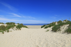 Borkum: Dünenlandschaft am Oststrand.