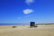 Borkum: Das Ostland: idyllische Strandabschnitte fernab von Borkums buntem Strandleben.