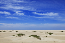 Borkum: Am Oststrand kann man die Entstehung neuer kleinen Dünenhügel ganz besonders gut beobachten.