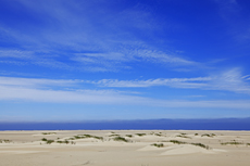 Borkum: Am Oststrand kann man die Entstehung neuer kleinen Dünenhügel ganz besonders gut beobachten.