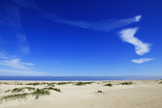 Borkum: Am Oststrand kann man die Entstehung neuer kleinen Dünenhügel ganz besonders gut beobachten.