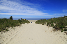 Borkum: Dünenweg zum FKK-Oststrand.