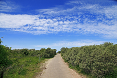 Borkum: Wanderwege durch die abwechslungsreiche Dünenlandschaft.