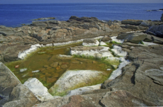 Frankreich: die Bretagne, Halbinsel Quiberon