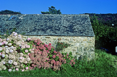 Frankreich: die Bretagne, Die Halbinsel Crozon