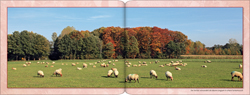 Georg Sauerland. Der Niederrhein - Im Licht der Jahreszeiten. Herbsttraum