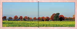 Georg Sauerland. Der Niederrhein - Im Licht der Jahreszeiten. Herbsttraum