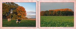 Georg Sauerland. Der Niederrhein - Im Licht der Jahreszeiten. Herbsttraum