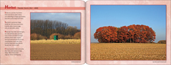 Georg Sauerland. Der Niederrhein - Im Licht der Jahreszeiten. Herbsttraum