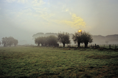 Der Niederrhein: Frühlingserwachen