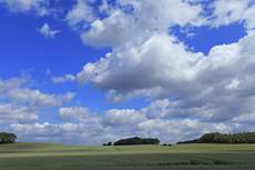 Der Niederrhein: Frühlingserwachen