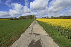 Der Niederrhein: Frühlingserwachen