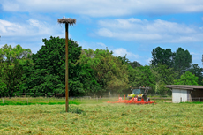 Der Niederrhein: Frühlingserwachen - Weide- und Mähwiese bei Wachtendonk mit einem brüteten Storchenpaar..