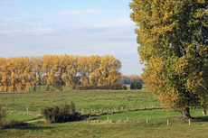 Der Niederrhein: Herbsttraum