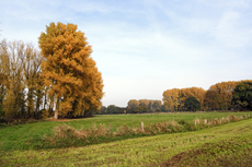 Der Niederrhein: Herbsttraum