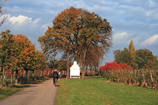 Der Niederrhein: Herbsttraum