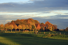 Der Niederrhein: Herbsttraum