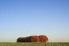 Der Niederrhein: Herbsttraum