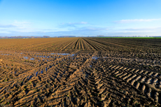 Der Niederrhein: Herbsttraum