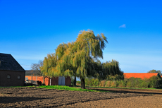 Der Niederrhein: Herbsttraum