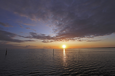 Juist-Töwerland: Natur im Blick. Sonnenuntergang über die große Sandbank Billriff am Juister Westende.