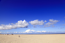 Juist-Töwerland: Strandkörbe, die bunte Vielfalt am Juister Endlosstrand.