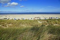 Juist-Töwerland: Der weite Blick über die Dünengräser auf den Juister Endlosstrand.