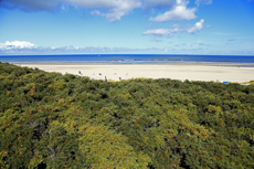 Juist-Töwerland: Der weite Blick über die Sanddornhecken auf den Juister Endlosstrand.