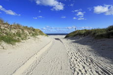 Juist-Töwerland: Lange Dünenwege aus Holz oder Sand, führen einem zum Strand.