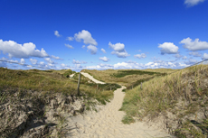 Juist-Töwerland: Die Juister Dünen sind der natürliche Küstenschutz der Insel.