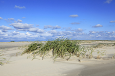 Juist-Töwerland: Die Schutzzone Billriff, eine niedrige Sandbank am westlichen Ende der Insel.