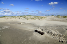 Juist-Töwerland: Die Schutzzone Billriff, eine niedrige Sandbank am westlichen Ende der Insel.