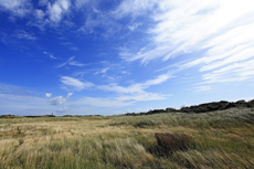 Juist-Töwerland: Kalfamer - Naturpfad und Schutzzone am Ostende der Insel - Nationalpark Wattenmeer.