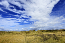 Juist-Töwerland: Kalfamer - Naturpfad und Schutzzone am Ostende der Insel - Nationalpark Wattenmeer.