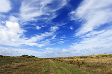 Juist-Töwerland: Kalfamer - Naturpfad und Schutzzone am Ostende der Insel - Nationalpark Wattenmeer.