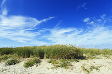 Juist-Töwerland: Kalfamer - Naturpfad und Schutzzone am Ostende der Insel - Nationalpark Wattenmeer.