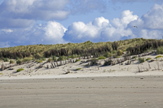 Juist-Töwerland: Kalfamer - Naturpfad und Schutzzone am Ostende der Insel - Nationalpark Wattenmeer.