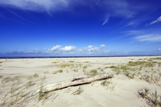 Juist-Töwerland: Kalfamer - Naturpfad und Schutzzone am Ostende der Insel - Nationalpark Wattenmeer. Im Kalfamer kann man die Entstehung neuer Dünen ganz besonders gut beobachten.