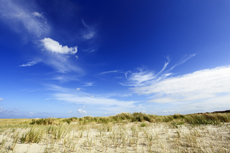 Juist-Töwerland: Kalfamer - Naturpfad und Schutzzone am Ostende der Insel - Nationalpark Wattenmeer. Im Kalfamer kann man die Entstehung neuer Dünen ganz besonders gut beobachten.