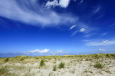 Juist-Töwerland: Kalfamer - Naturpfad und Schutzzone am Ostende der Insel - Nationalpark Wattenmeer. Im Kalfamer kann man die Entstehung neuer Dünen ganz besonders gut beobachten.