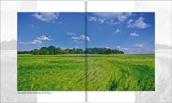 Georg Sauerland: Niederrhein Impressionen